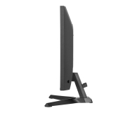 IIYAMA G-Master G2441HSU-B1 Black Hawk - 1370362 - zdjęcie 4